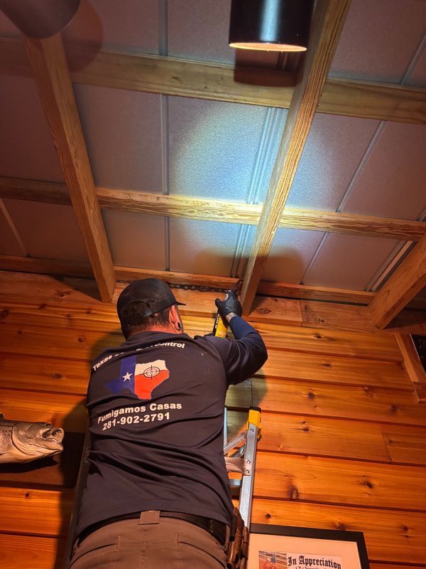 Residential Pest Control