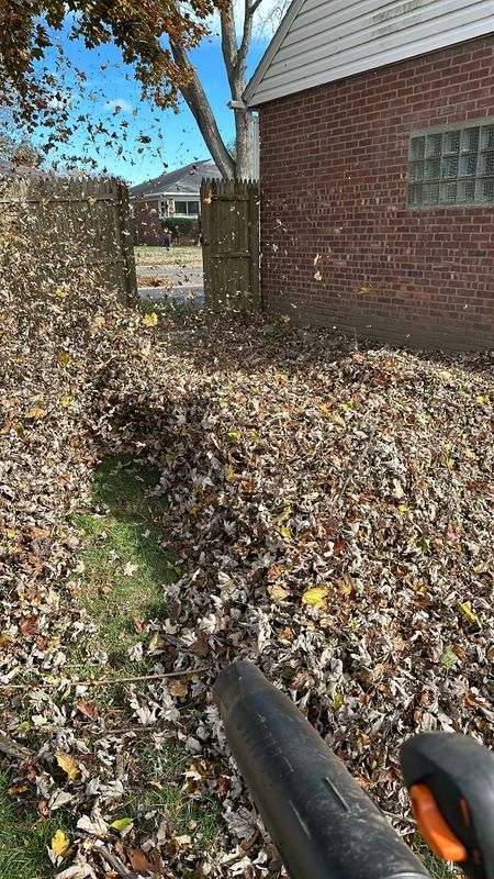 Leaf Removal gallery