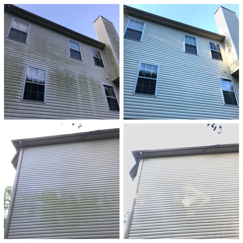 Sparkling Clean on Short Notice: MBM Pro Wash Delivers Exceptional Results