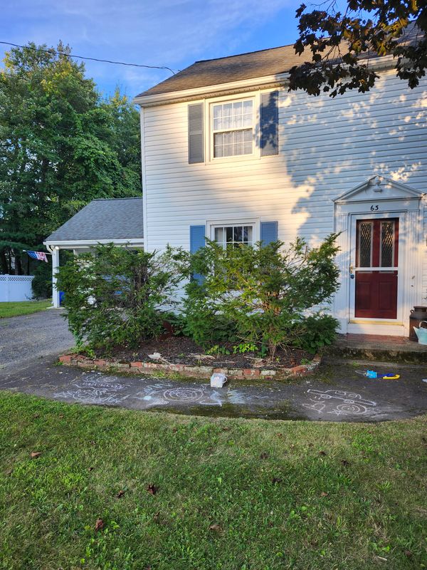 Hedge/Tree/Brush Cutting