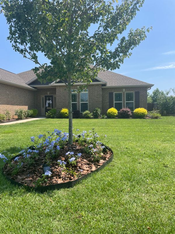Landscape Maintenance