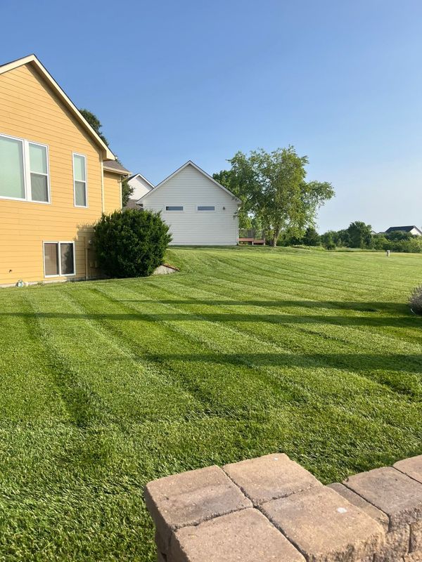 Lawn Maintenance