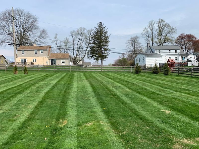 Lawn Maintenance