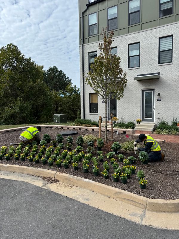 Tree and Shrub Planting