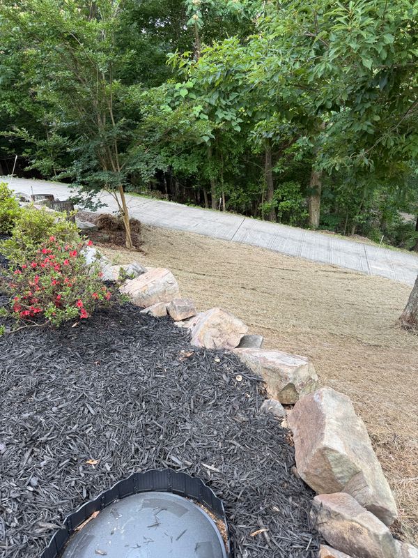 Landscape and landscape design