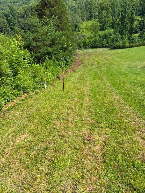 Fencing