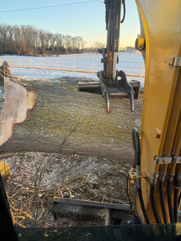 Tree Removal