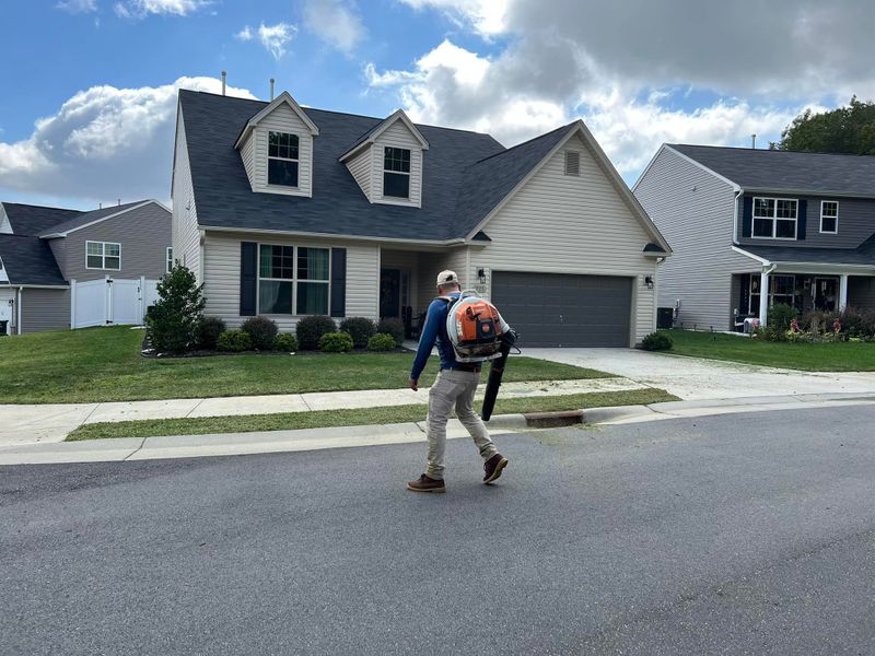 Landscaping & Hardscaping