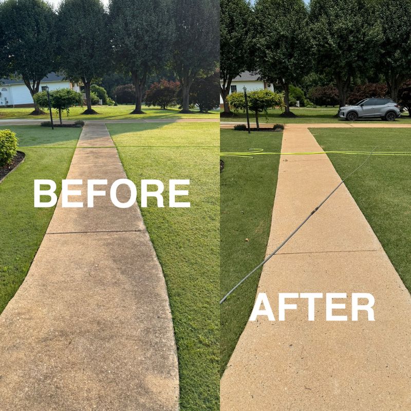 Pressure Washing 
