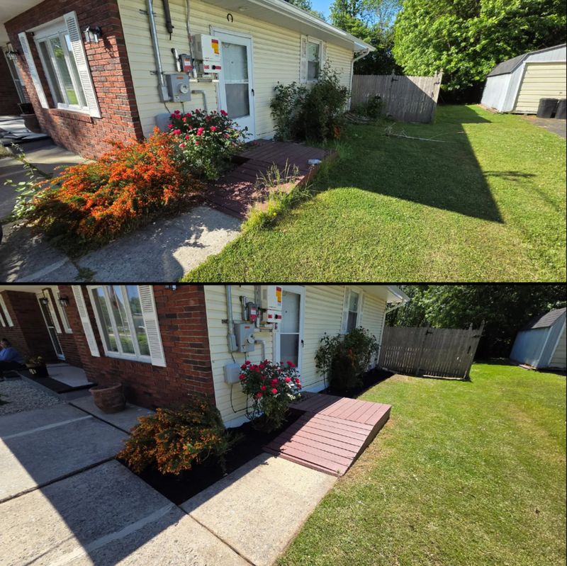Lawn Care and Maintenance