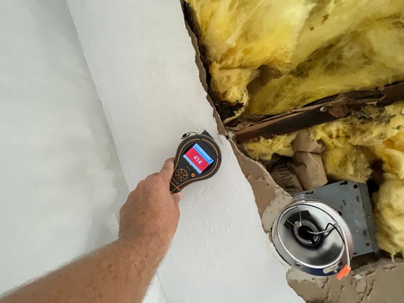 Mold Remediation