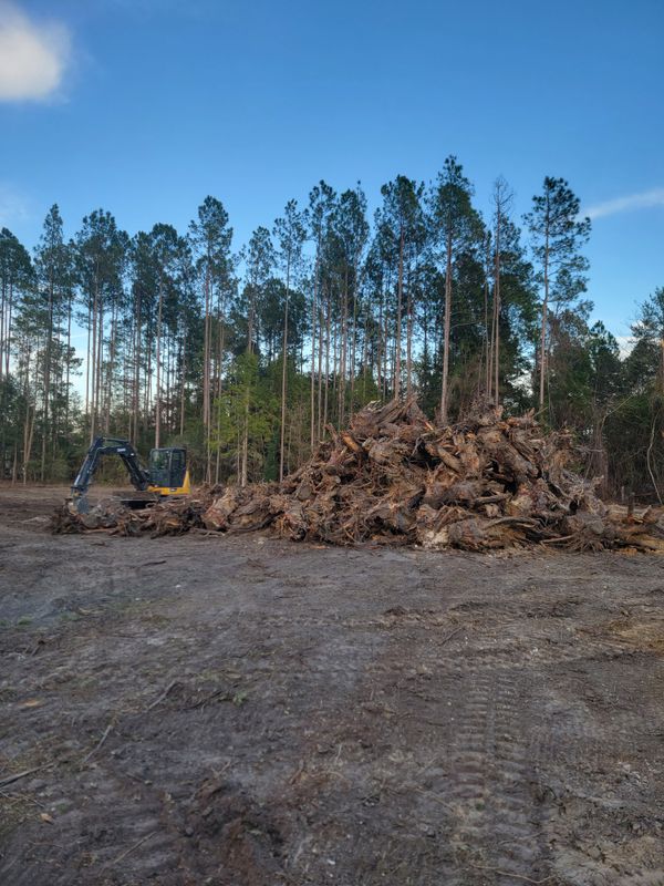 Land Clearing gallery