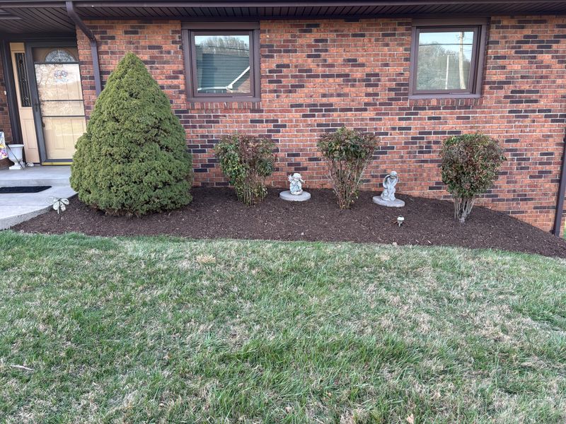 Landscape Design