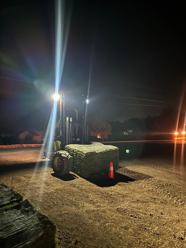 Sod Installation