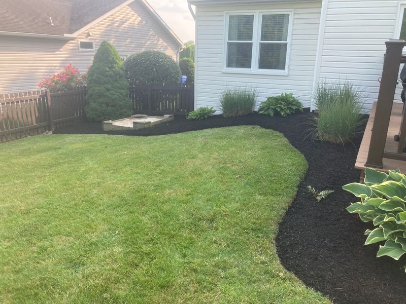 Landscape Design