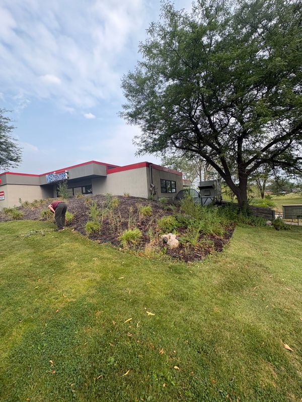 Landscaping