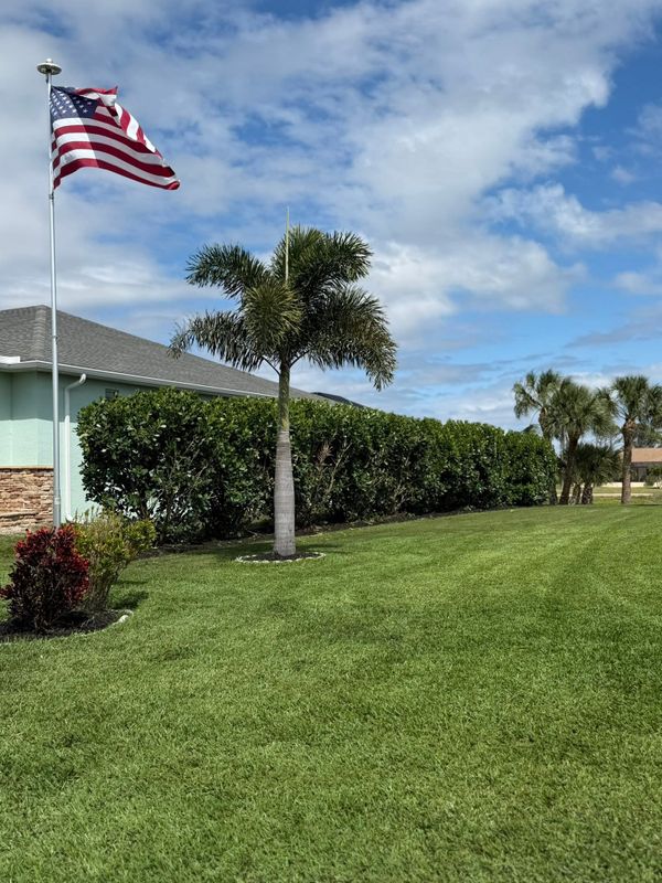 Residential Landscape Installation & Privacy Hedge Design: Port Charlotte, FL