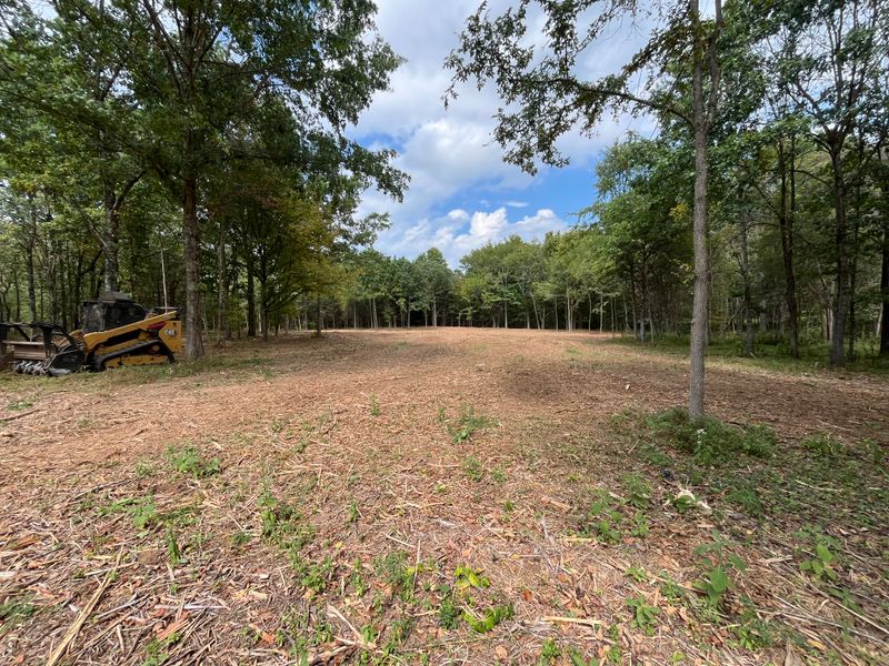 Land Clearing gallery