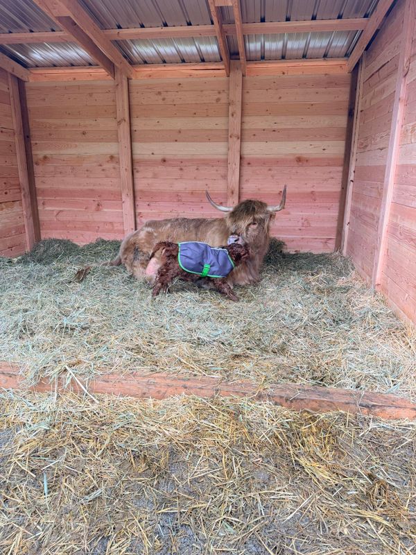 Hay Storage and Feeders