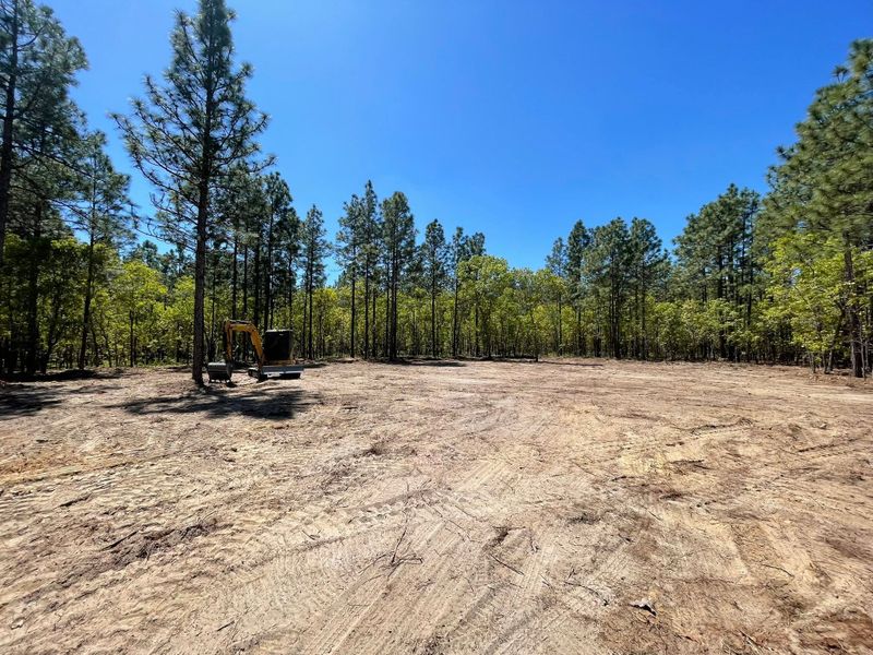 Land Clearing and Site Preparation
