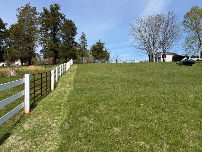 Lawn Maintenance