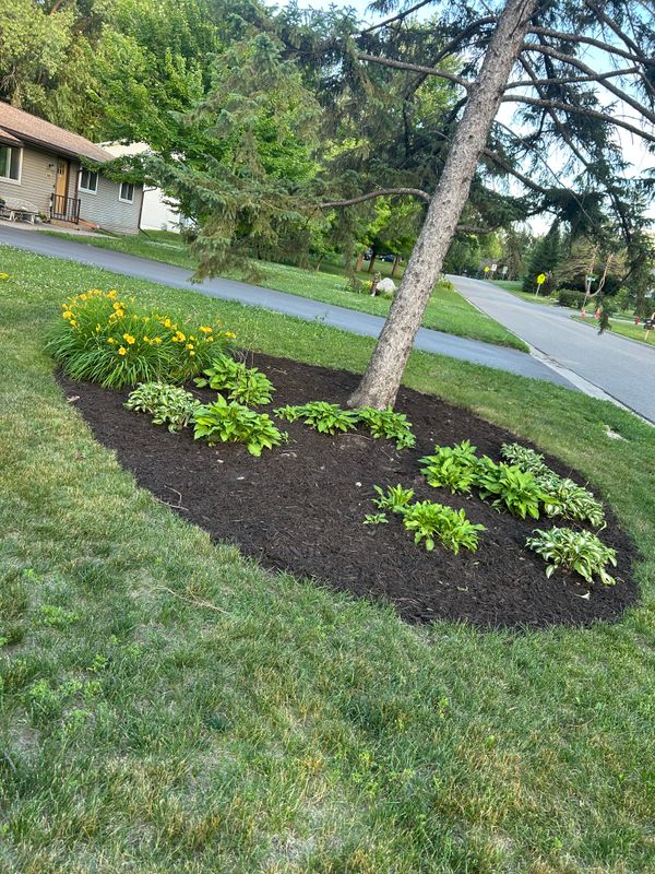 Flower Bed Gallery