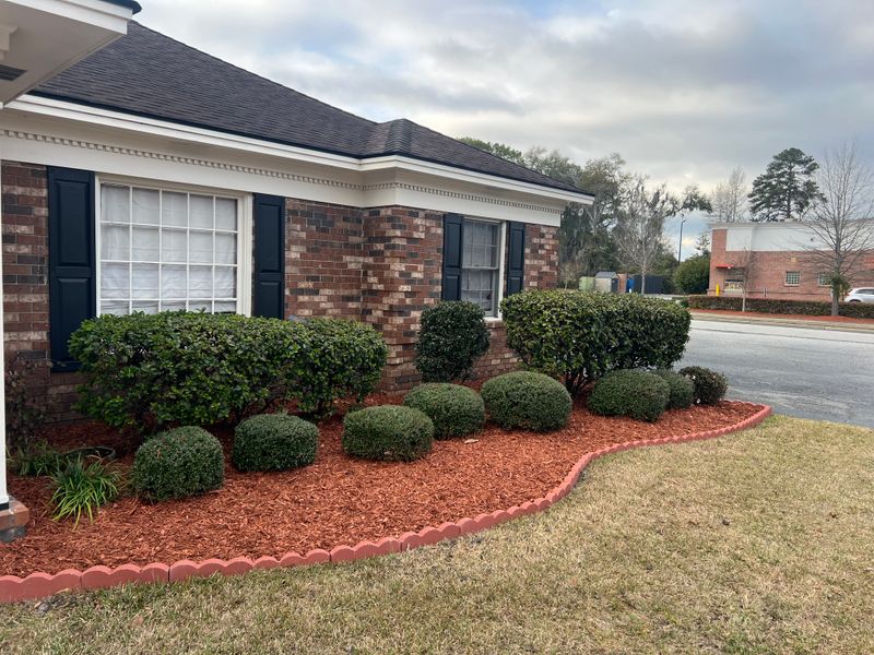 Landscape Design & Installation