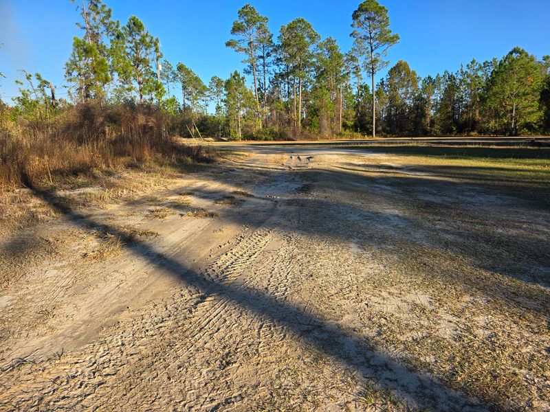 Land Clearing