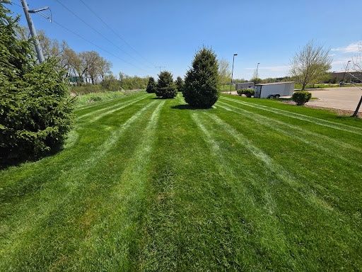 Lawn Mowing