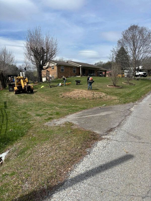 Stump Removal
