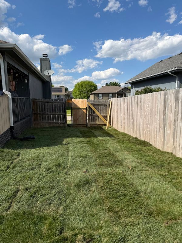 Sod Installation