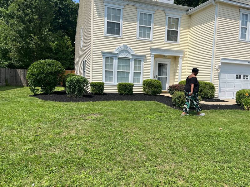 Lawn Maintenance