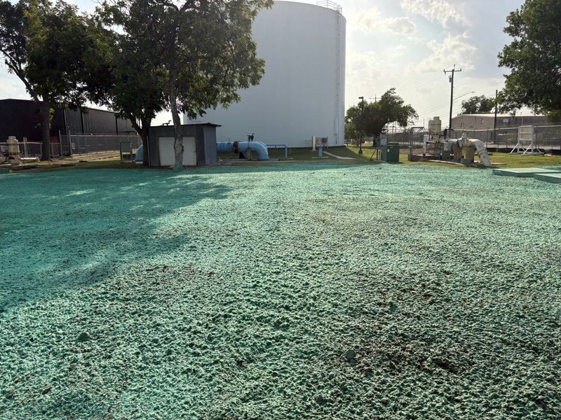 Hydroseeding