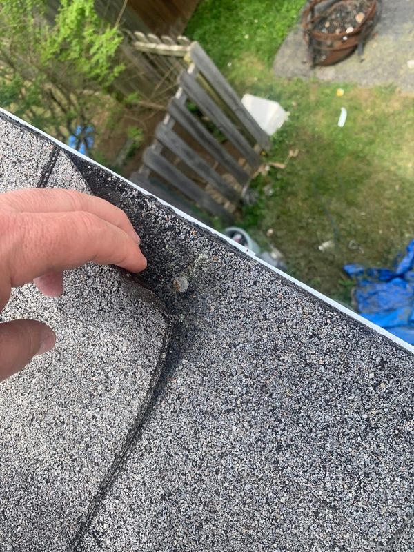 Common Damage We Repair