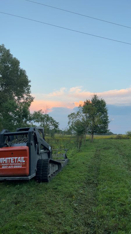 Land Clearing