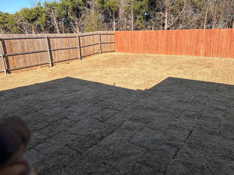 Fencing