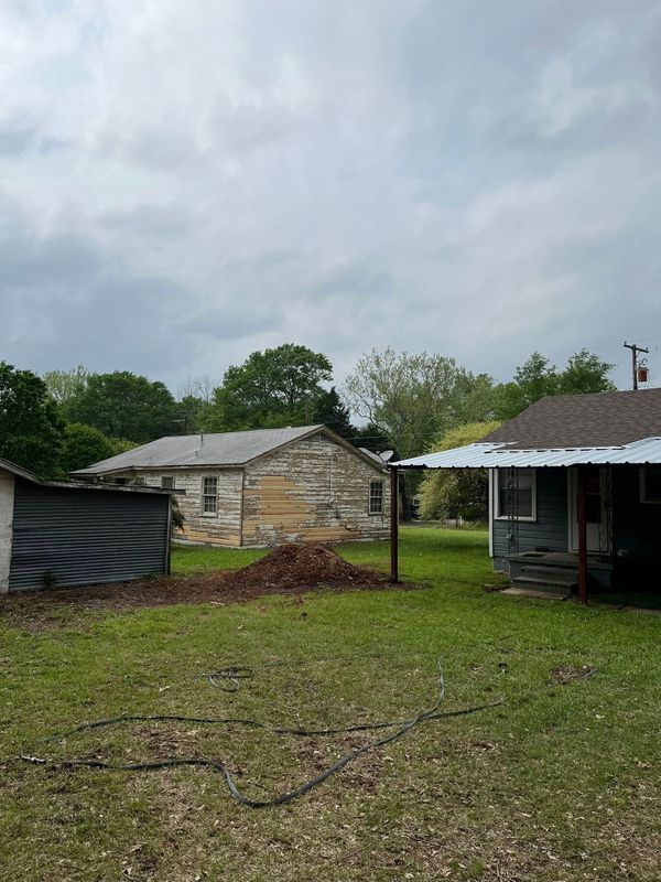Tree Removal gallery