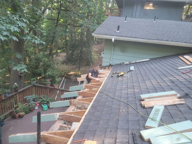 Roofing Repairs