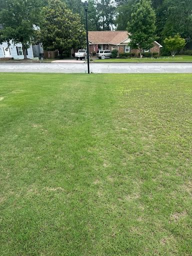 Lawn Care