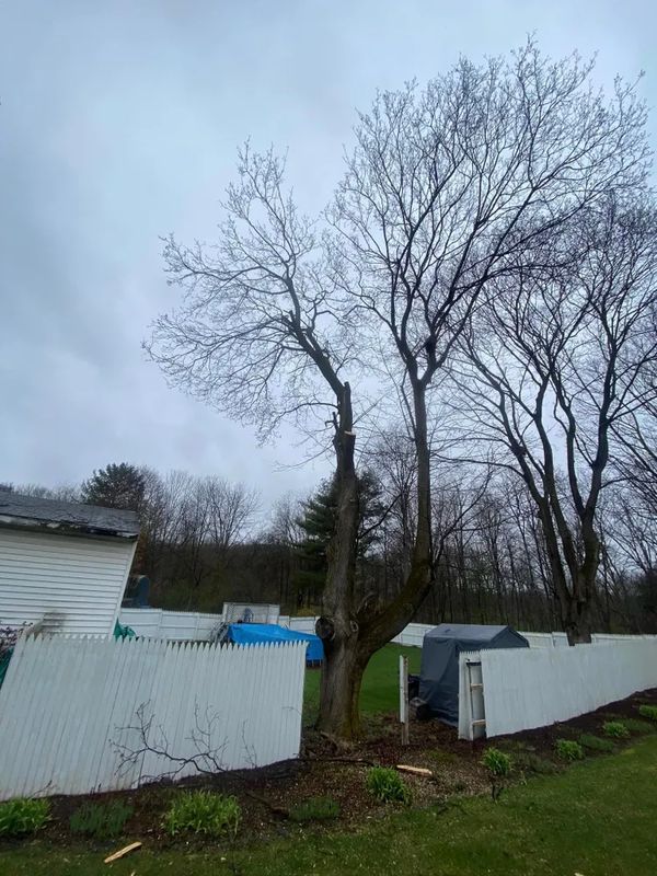 Storm work / Emergency work