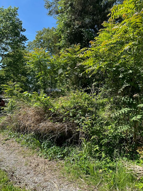 Transform Your Outdoors with Parks Outdoor Services