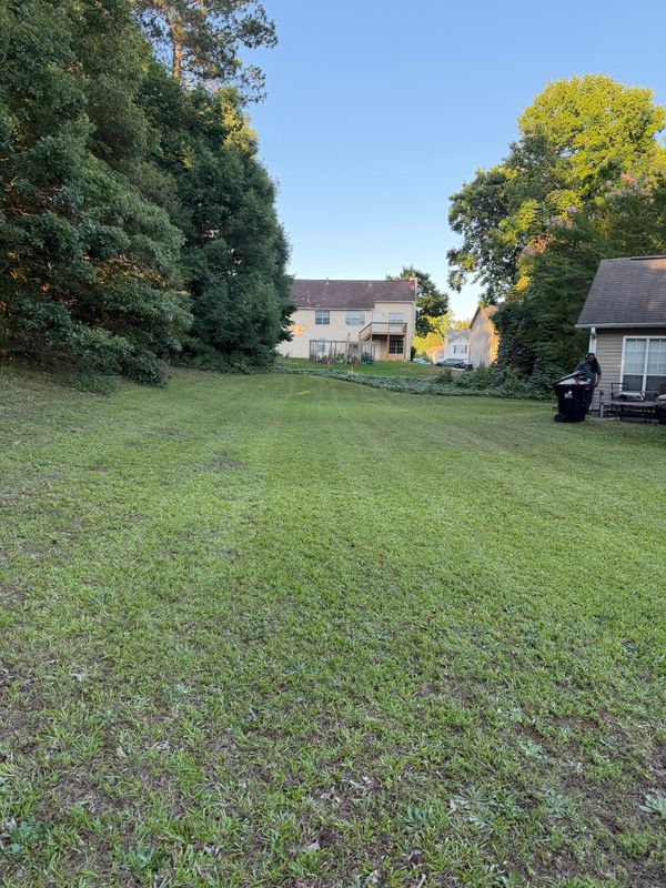 Lawn Mowing