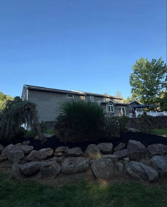 Shrub Removal & Install