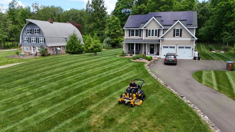 Lawn & Turf Maintenance 