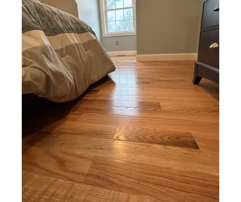 Basement Finishing