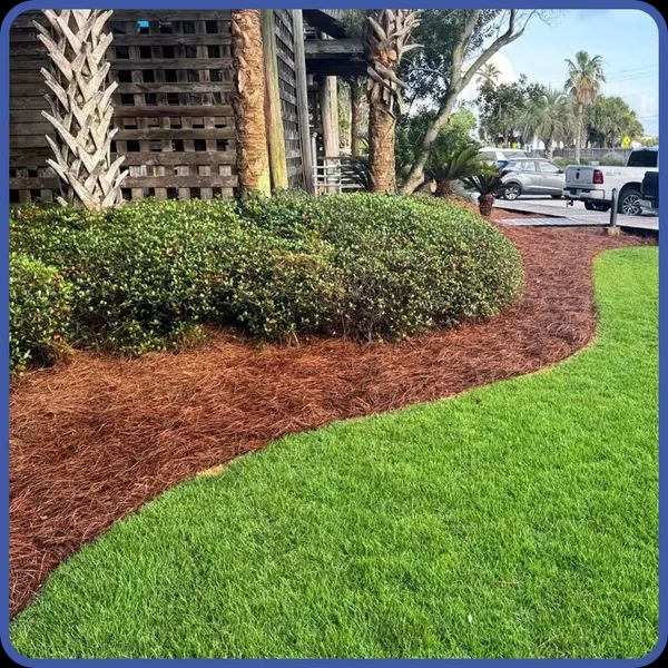 Pine-straw Installation