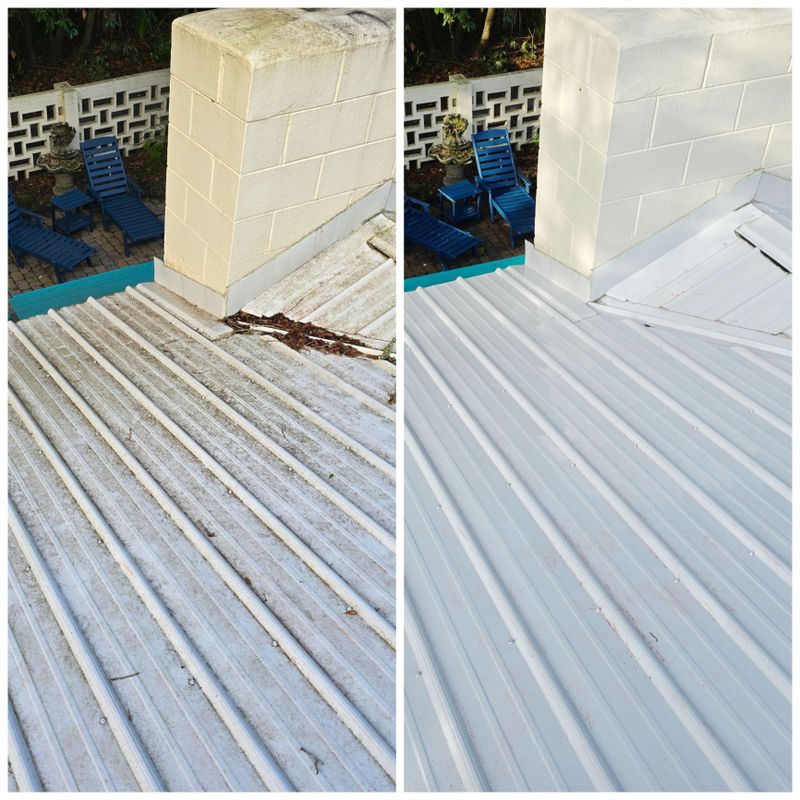 Roof Cleaning