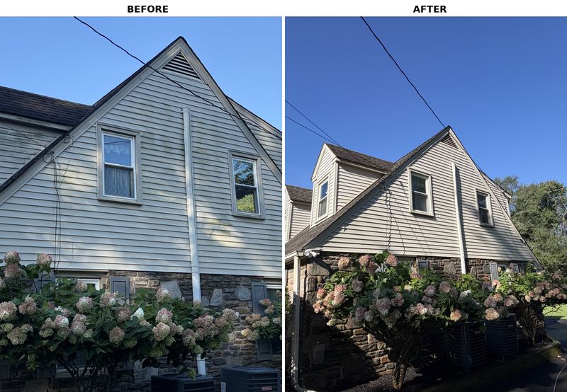 Eco-Friendly Soft Wash for Pristine Home Siding
