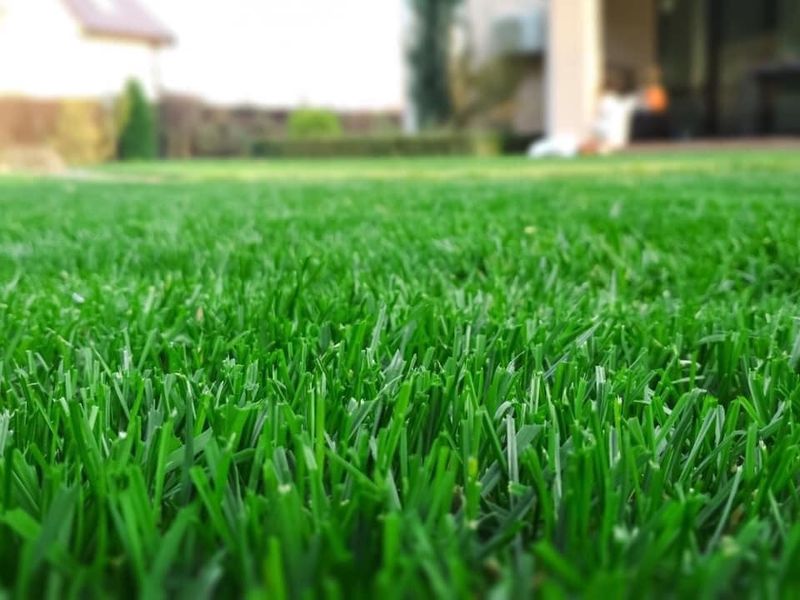 Lawn Care