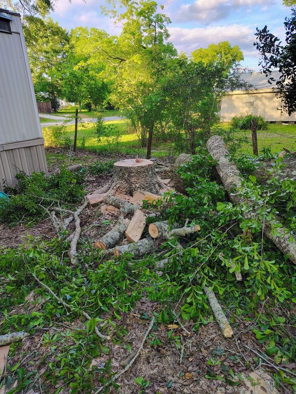 Tree Removal